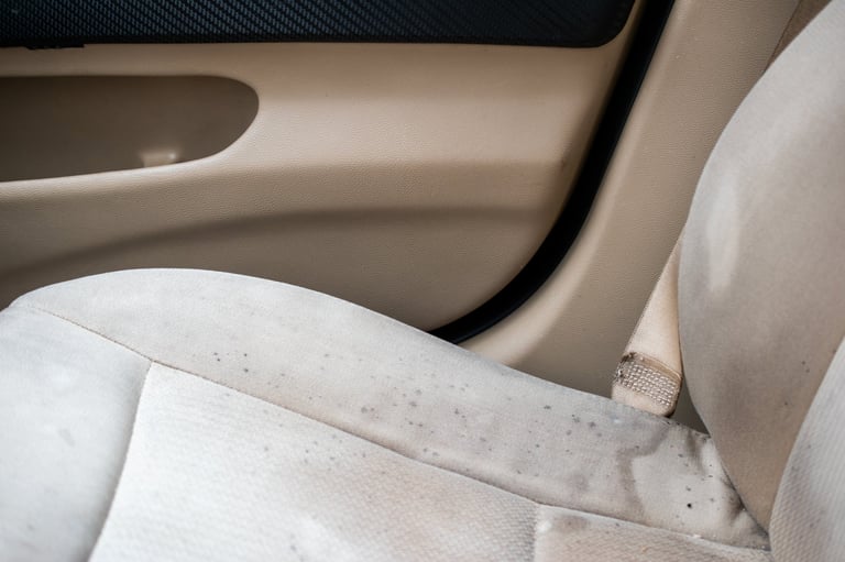 seat stain removal before after